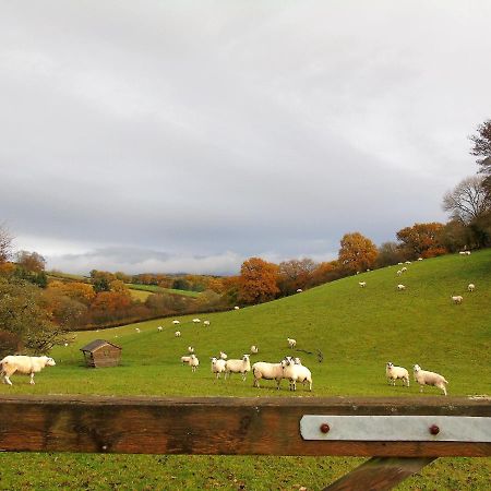 Apartmán Gwilym'S Stable Builth Wells Exteriér fotografie