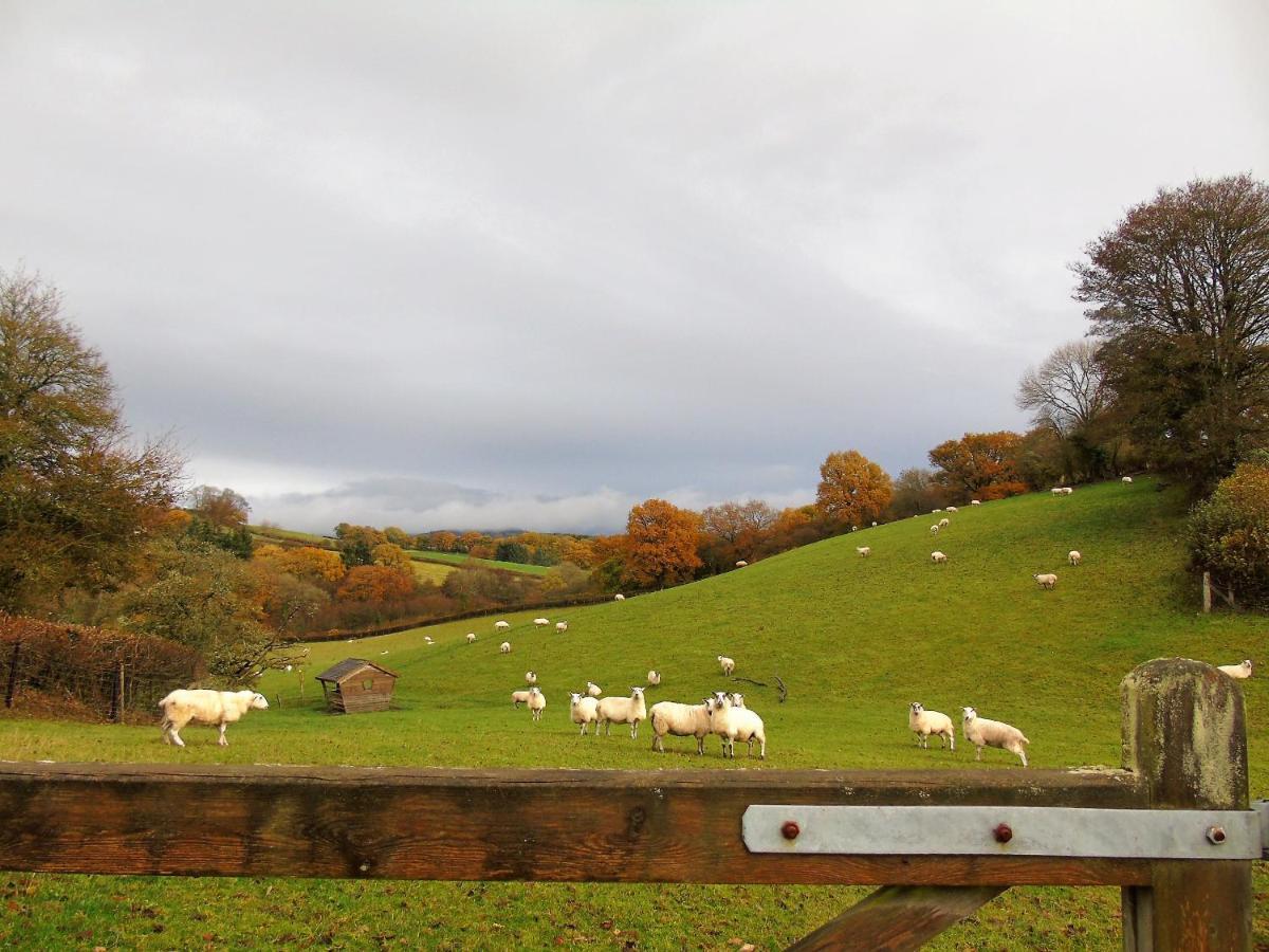 Apartmán Gwilym'S Stable Builth Wells Exteriér fotografie